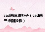 cad畫(huà)三維柜子（cad畫(huà)三維圖步驟）