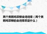 兩個(gè)黃鸝鳴翠柳全詩詩意（兩個(gè)黃鸝鳴翠柳的全詩意思是什么）