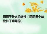 陌陌干什么的軟件（陌陌是個啥軟件干嘛用的）
