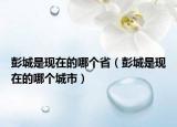 彭城是現(xiàn)在的哪個?。ㄅ沓鞘乾F(xiàn)在的哪個城市）