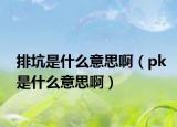 排坑是什么意思?。╬k是什么意思啊）