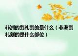非洲的割禮割的是什么（非洲割禮割的是什么部位）