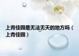 上青佳園是無法無天的地方嗎（上青佳園）