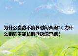 為什么獵豹不能長時(shí)間奔跑?（為什么獵豹不能長時(shí)間快速奔跑）