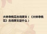 大林寺桃花古詩原文（《大林寺桃花》古詩原文是什么）