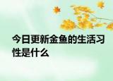今日更新金魚的生活習性是什么