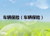 車輛保險(xiǎn)（車輛保險(xiǎn)）