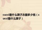 cucci是什么牌子衣服多少錢（cucci是什么牌子）