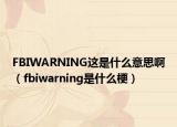 FBIWARNING這是什么意思?。╢biwarning是什么梗）