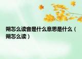 朔怎么讀音是什么意思是什么（朔怎么讀）