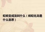 蛇蛻變成龍叫什么（蛻蛇化龍是什么意思）