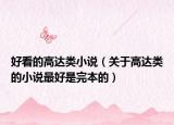 好看的高達(dá)類小說(shuō)（關(guān)于高達(dá)類的小說(shuō)最好是完本的）