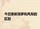 今日更新菠蘿和鳳梨的區(qū)別