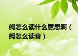 闕怎么讀什么意思啊（闕怎么讀音）