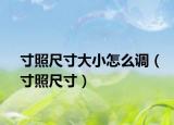 寸照尺寸大小怎么調(diào)（寸照尺寸）