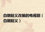 白朗起義改編的電視?。ò桌势鹆x）