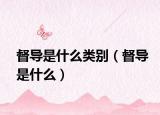 督導(dǎo)是什么類別（督導(dǎo)是什么）
