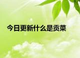 今日更新什么是貢菜