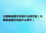 大熊貓走路方式是什么樣子的（大熊貓走路方式是什么樣子）