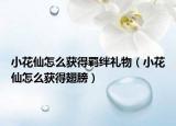 小花仙怎么獲得羈絆禮物（小花仙怎么獲得翅膀）