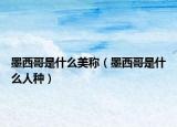 墨西哥是什么美稱(chēng)（墨西哥是什么人種）