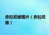 赤拉尼維圖片（赤拉尼維）