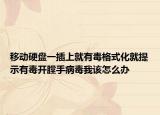移動硬盤一插上就有毒格式化就提示有毒開膛手病毒我該怎么辦