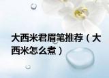 大西米君眉筆推薦（大西米怎么煮）