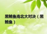 黑鮪魚南北大對決（黑鮪魚）
