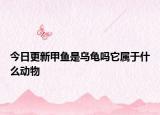 今日更新甲魚(yú)是烏龜嗎它屬于什么動(dòng)物