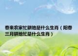 春來農(nóng)家忙耕地是什么生肖（陽春三月耕地忙是什么生肖）