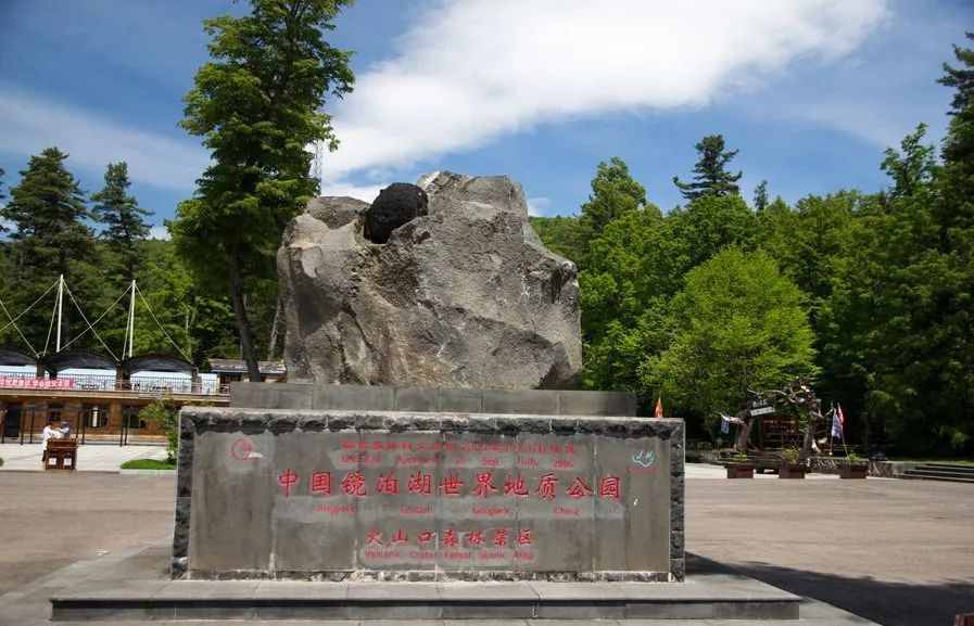 地下也有森林？