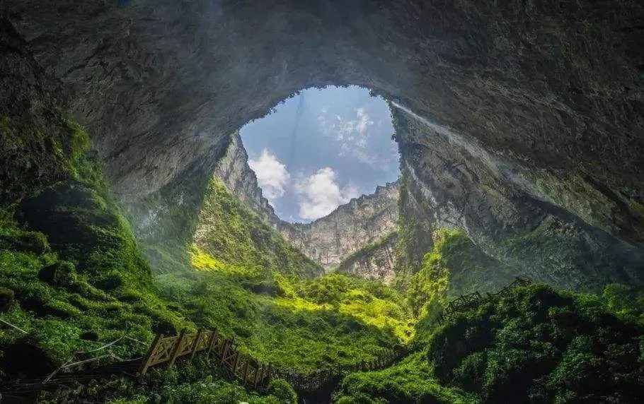 地下也有森林？