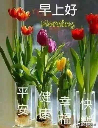 新的一天早晨好問候祝福語錄大全，早上好暖心祝福短信大全
