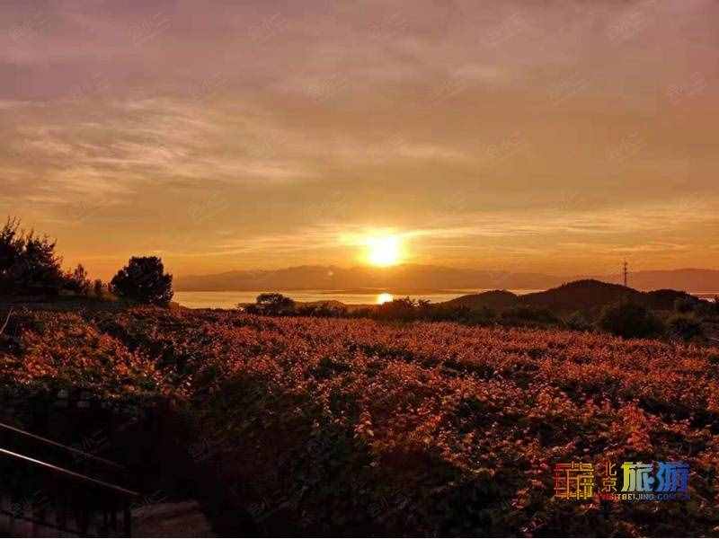這13個(gè)景點(diǎn)帶你打卡京郊密云的秋天！有些堪稱人少景美！紅楓搖曳，五彩斑斕！