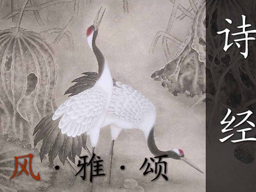 “四書五經(jīng)”是指哪幾部書，為何夸人知識(shí)淵博為“飽讀詩書”？