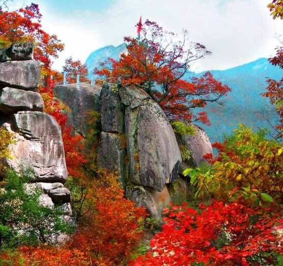 景區(qū)也破產(chǎn)？5A景區(qū)負債超9億，4A景區(qū)栽在玻璃棧道