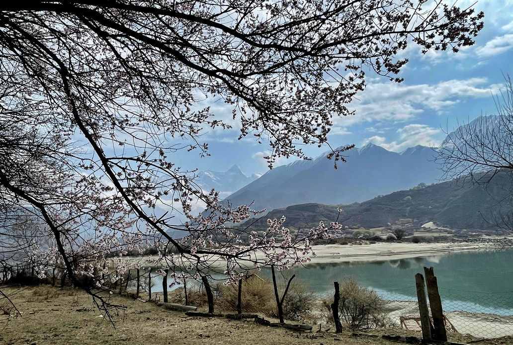 攝影人川藏自駕：林芝最好桃花在哪兒？收門(mén)票的索松村是桃花源嗎