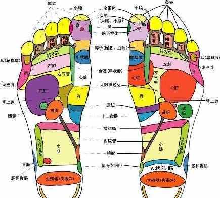 足療穴位圖 腳底的穴位圖及功能