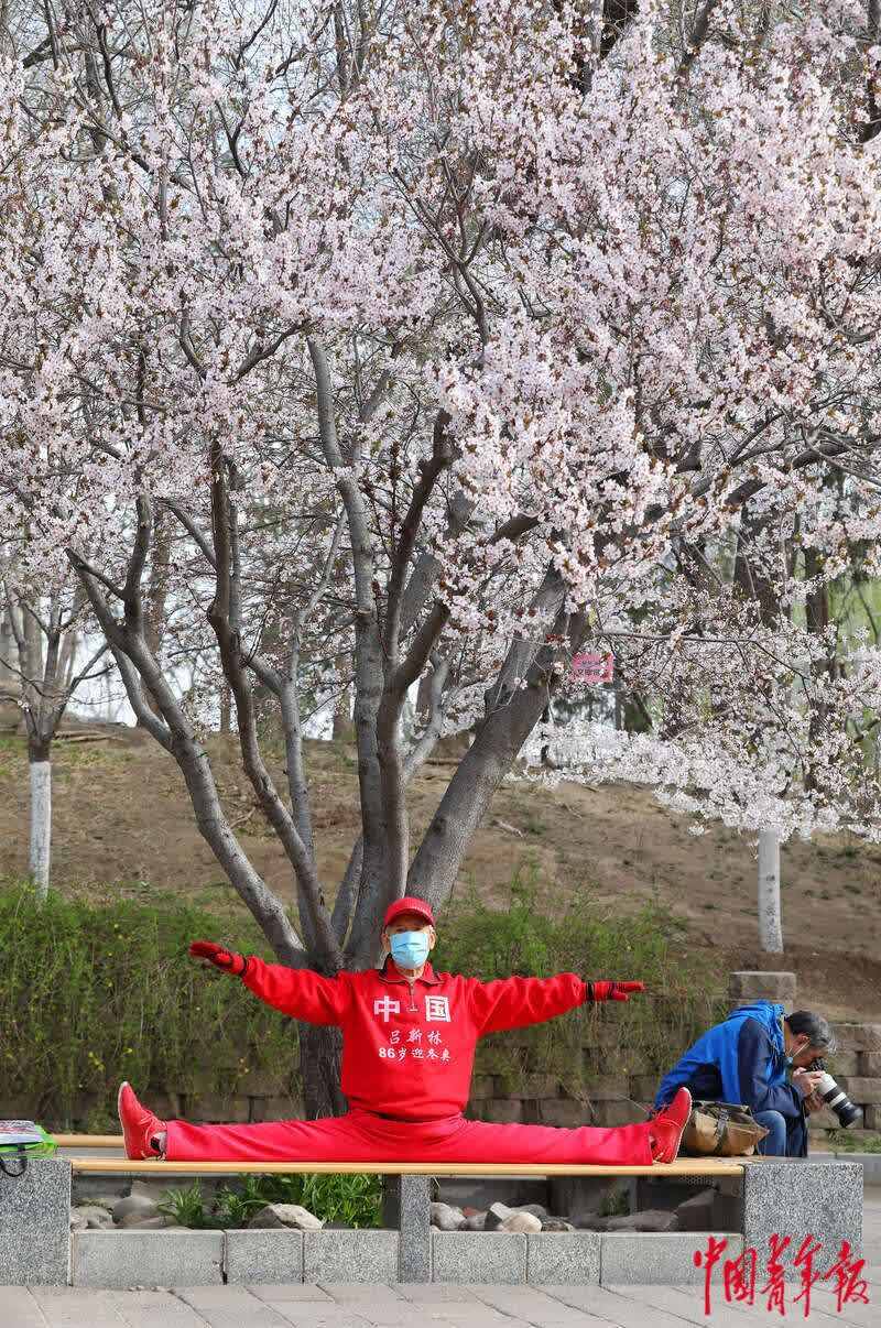 玉淵潭早櫻盛放 堆云疊雪美如畫