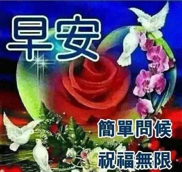 友不言摯愛，友情誼深心心相連，祝朋友：身體健康事業(yè)旺，早安