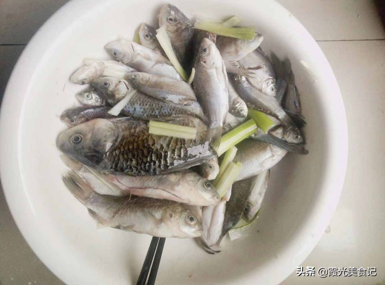 只長胎不長肉的秘密，孕1-3個月初期食譜分享