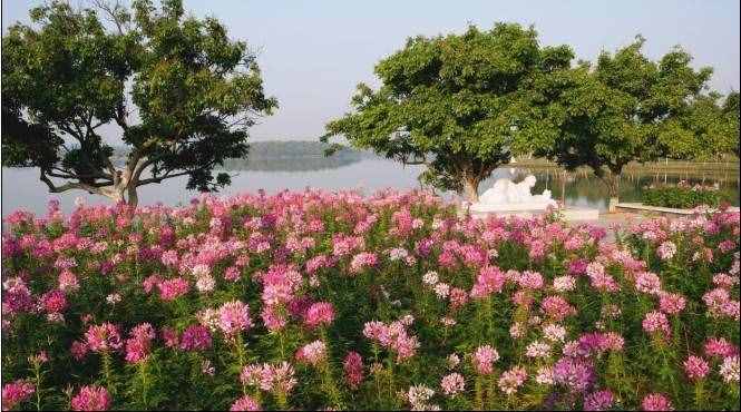東莞松山湖附近好玩的旅游景點