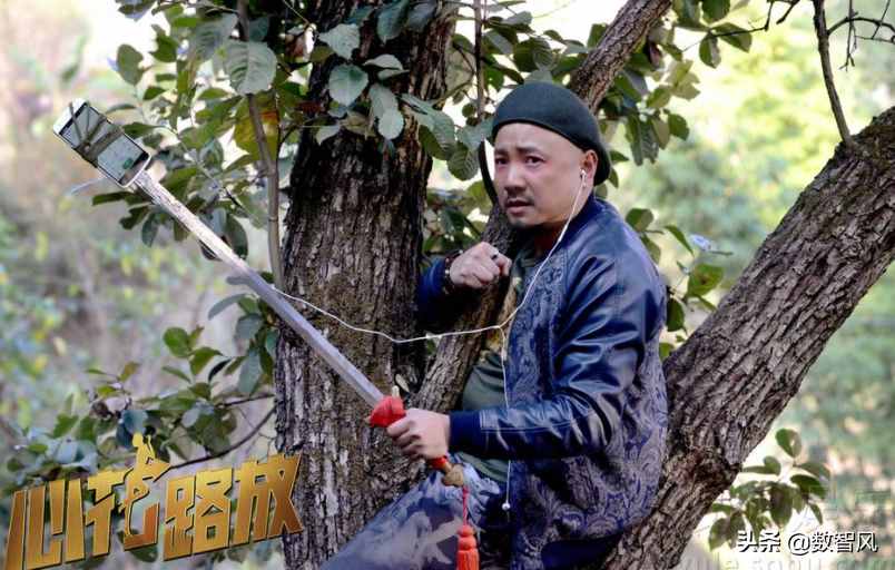 手機(jī)網(wǎng)速太慢怎么辦？