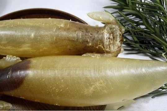 花膠怎樣吃？怎樣選？越貴越好嗎？看這一篇就夠了