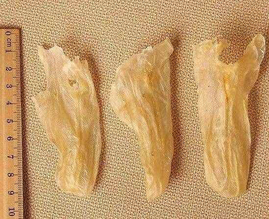 花膠怎樣吃？怎樣選？越貴越好嗎？看這一篇就夠了