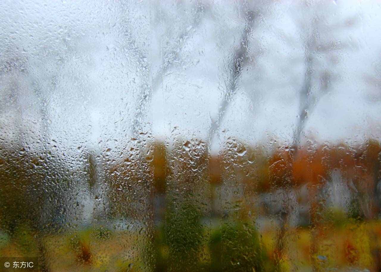 最接地氣的高級情話，暖心撩人，溫柔只給意中人！