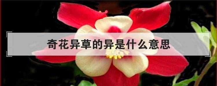 奇花異草的異是什么意思
