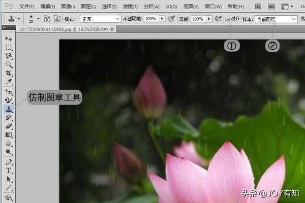 Photoshop從入門到精通：圖章工具，教你用圖章工具精美圖像