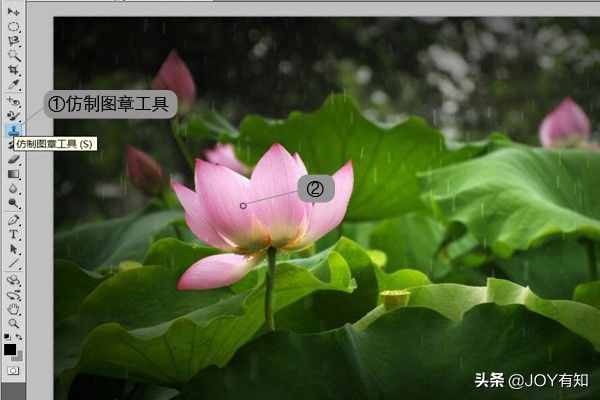 Photoshop從入門到精通：圖章工具，教你用圖章工具精美圖像